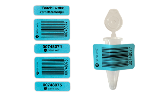 GENEWIZ AAV-ITR Protocol