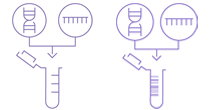 Premixed Tubes and Sanger-EZ Barcoded Premixed Tubes