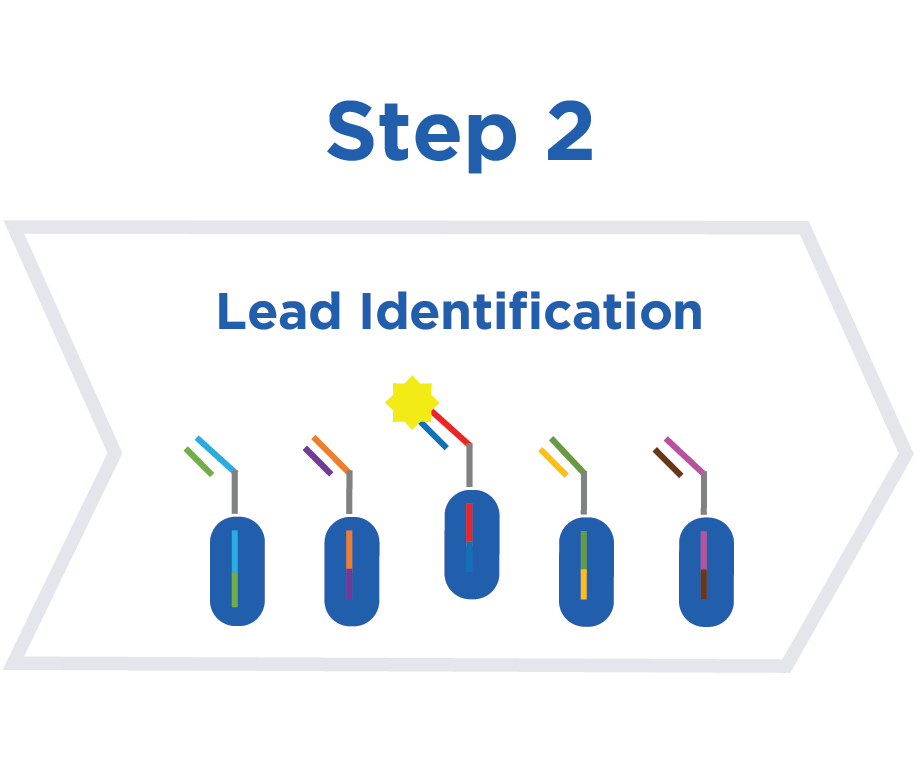 Lead Identification